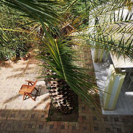 B&B La Salamandra Kitchengarden Forio di Ischia Екстериор снимка