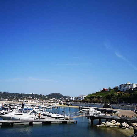 B&B La Salamandra Kitchengarden Forio di Ischia Екстериор снимка