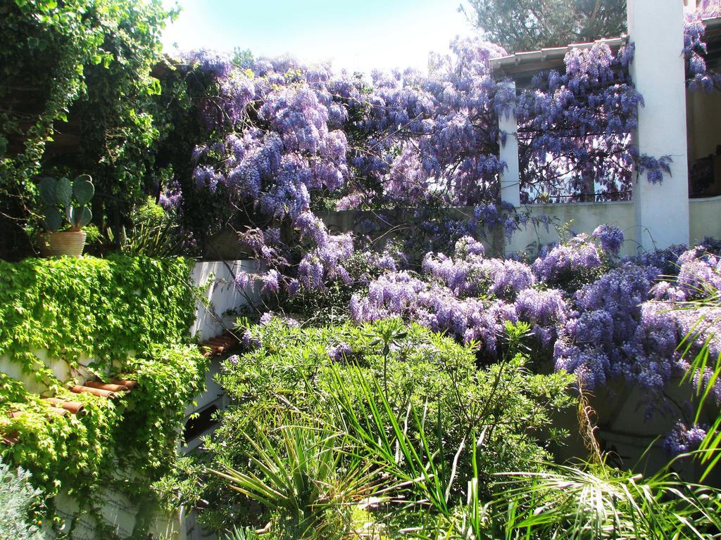 B&B La Salamandra Kitchengarden Forio di Ischia Екстериор снимка