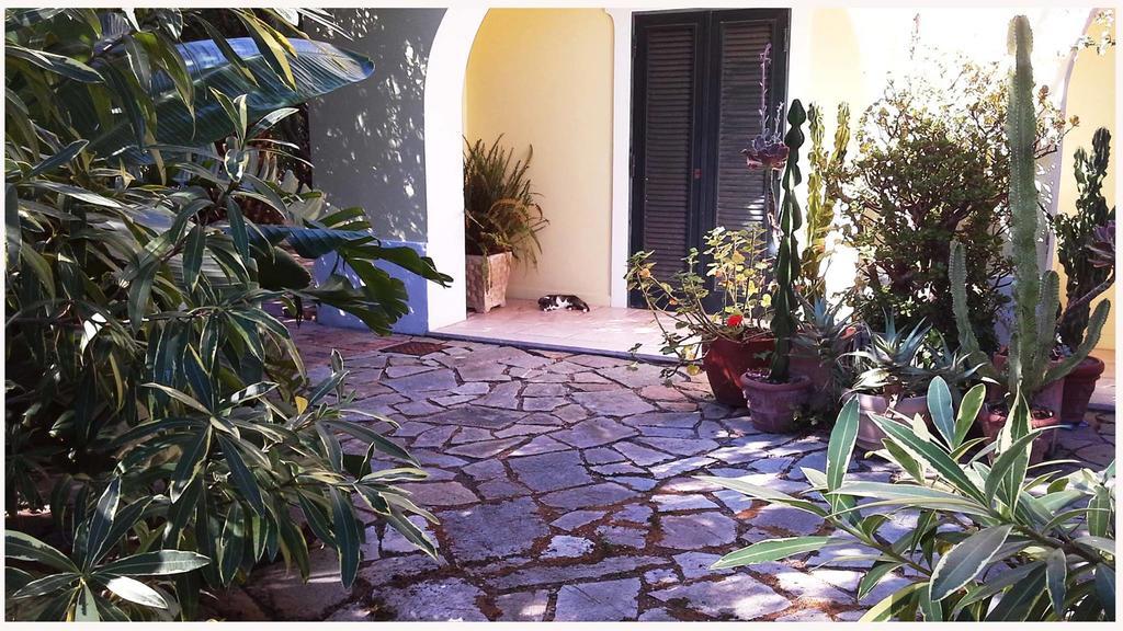 B&B La Salamandra Kitchengarden Forio di Ischia Екстериор снимка