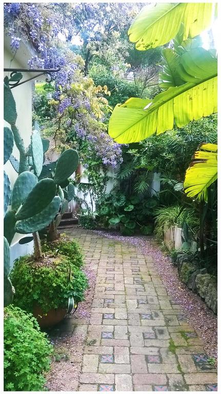 B&B La Salamandra Kitchengarden Forio di Ischia Екстериор снимка