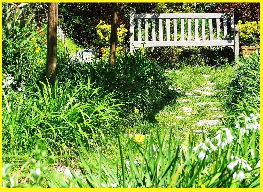 B&B La Salamandra Kitchengarden Forio di Ischia Екстериор снимка
