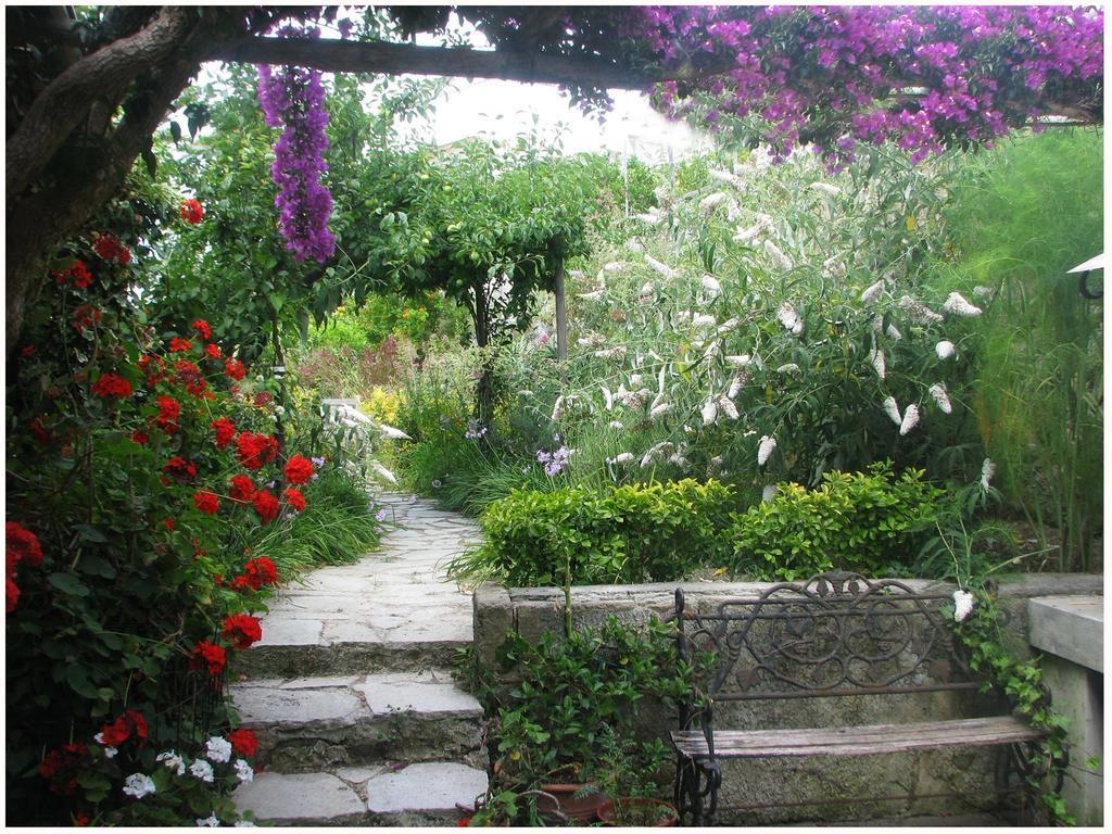 B&B La Salamandra Kitchengarden Forio di Ischia Екстериор снимка