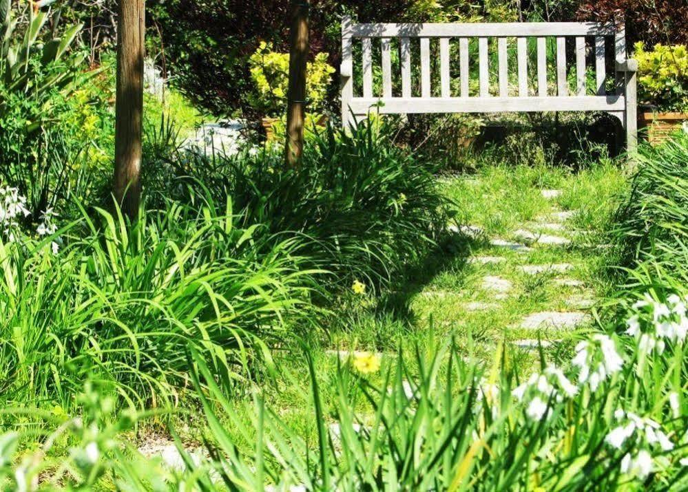 B&B La Salamandra Kitchengarden Forio di Ischia Екстериор снимка