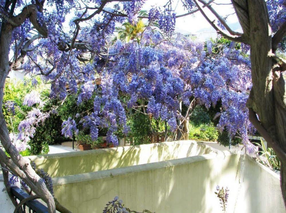 B&B La Salamandra Kitchengarden Forio di Ischia Екстериор снимка