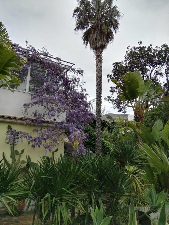 B&B La Salamandra Kitchengarden Forio di Ischia Екстериор снимка
