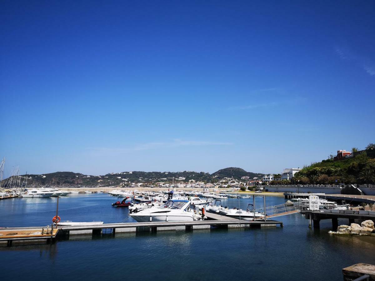 B&B La Salamandra Kitchengarden Forio di Ischia Екстериор снимка